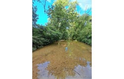 Cactus Road, Rocky Mount, MO 65072