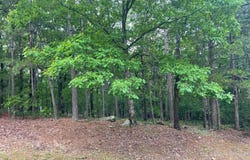 Lot 5,6,7,Blk19 Woodlawn Dr Drive, Fairfield Bay, AR 72088