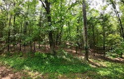 000 Long Gum  LN, Russellville, AR 72802
