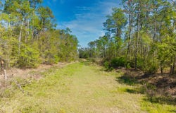 0 Johnson, Valdosta, GA 31601
