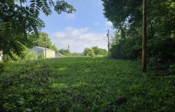 401 E Webster Avenue, Ava, MO 65608