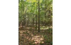 Tobias Rd, Sardis, GA 30456