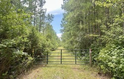 0 Quail Road, Hemingway, SC 29554