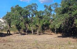 1120 E Broadway St, Eden, TX 76837