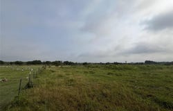 Tbd Us-84, Mexia, TX 76667