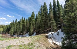 6600 W PAINTBRUSH Trail, Wilson, WY 83014