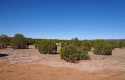 Tract 1A Camino del Sol, NM 87569
