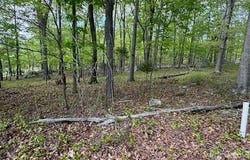 266 Rocky Cove Lane, Denton, NC 27239