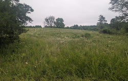 Semic Lane, Cape Fair, MO 65624