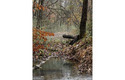 335 Highway 26, Elko, GA 31025