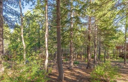 13845 Hillside Drive, Truckee, CA 96161