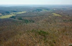 Tract #3 Lake Road, Silva, MO 63964