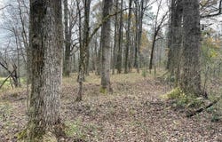 960 Walnut, Hoschton, GA 30548