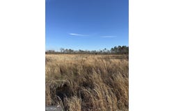 1031 Scott S Store (60 Acres), Millen, GA 30442