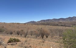 13 Rosete Court, Nogales, AZ 85621