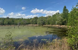 000 Highway 253, Donalsonville, GA 39845