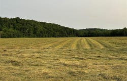 000 State Highway D, Greenville, MO 63944