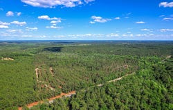 80 Acres Columbia Highway N, Ridge Spring, SC 29129