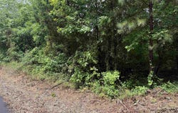CC Road, Amity, AR 71921