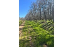 289 Iva LN, Bastrop, TX 78602