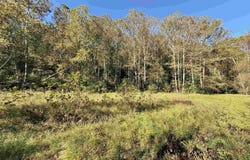 317 Grove Summers Road, New Milton, WV 26411