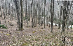 100 Fireweed Lane, Beech Mountain, NC 28604
