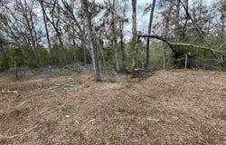 11331 E Us Highway 90, Lee, FL 32059