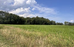 Lot 16 S Morgan Road, La Porte, IN 46350