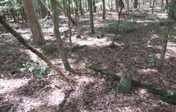 846 Latimer Mill Road, Honea Path, SC 29654