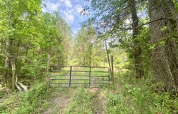 Henry Harris Road, Utica, MS 39175
