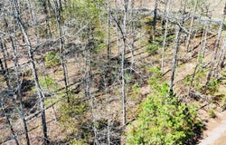 Hendaya Way, Hot Springs Village, AR 71909
