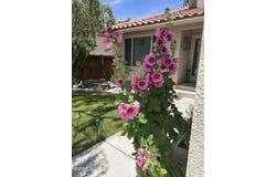236 La Costa Avenue, Dayton, NV 89403