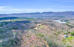 Forester Lane unit: 25, Mill Spring, NC 28756
