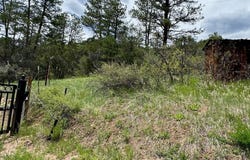 TBD-2 Vine Mesa Ave, Beulah, CO 81023
