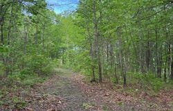 Slaven Ridge Rd, Jamestown, TN 38556