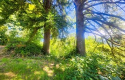 Tiernan Rd, Mapleton, OR 97453