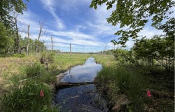 13384 Sorenson Lake Road, Merrifield, MN 56465