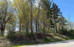 1740 & 1732 E Remus Road, Mt Pleasant, MI 48858
