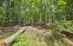 117 ROBERTS ROAD, GREAT CACAPON, WV 25422