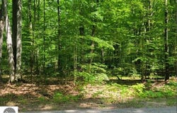 29 Undervalden Drive, Bellaire, MI 49615