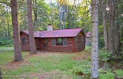 7745 Alpine Drive, Summerfield Twp, MI 48625