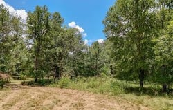 2031 County Road 3310, Valley Mills, TX 76689