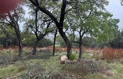 117 N john bird, Blanco, TX 78606
