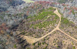 Skyland Drive, Marietta, SC 26661