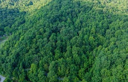 Tbd Dryfork Road, North Tazewell, VA 24630