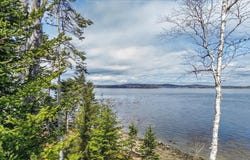M16 L8 Wilson Point Road, Castine, ME 04421