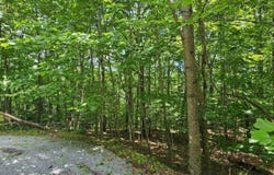 Oak Leaf Lane lot: 555, Dunlap, TN 37327