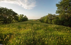 290th St., Soldier, IA 51572
