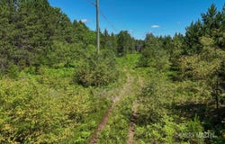 4608 N Spruce Avenue, White Cloud, MI 49349