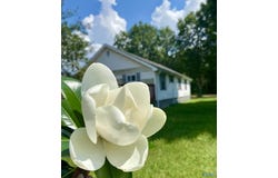 3423 County Road 88, Pisgah, AL 35765